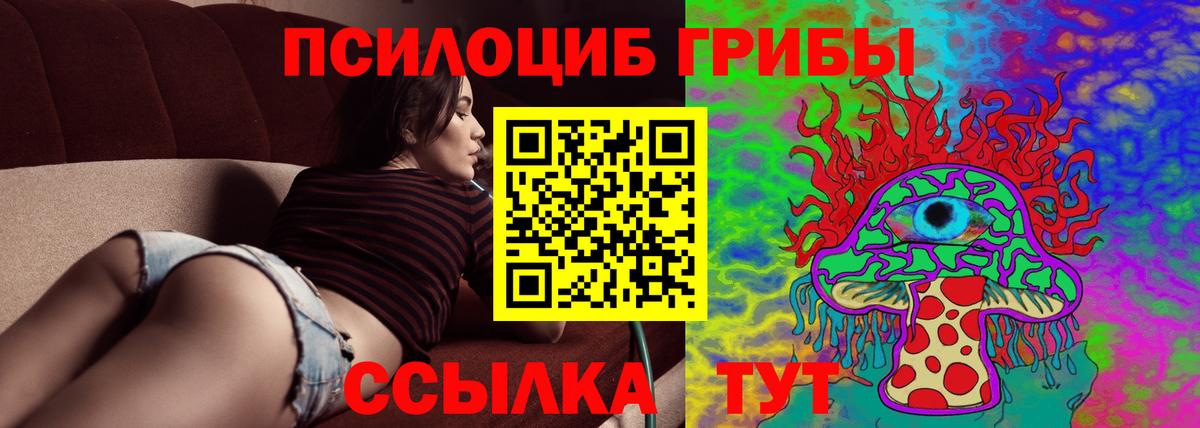 Псилоцибиновые грибы мицелий Кинель